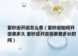 紫砂壶开壶怎么煮（紫砂壶如何开壶煮多久 紫砂壶开壶需要煮多长时间）