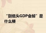 “别低头GDP会掉”是什么梗