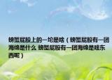 螃蟹屁股上的一坨是啥（螃蟹屁股有一团海绵是什么 螃蟹屁股有一团海绵是啥东西呢）