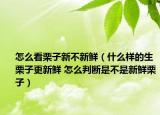 怎么看栗子新不新鲜（什么样的生栗子更新鲜 怎么判断是不是新鲜栗子）