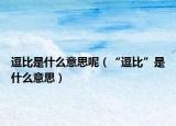 逗比是什么意思呢（“逗比”是什么意思）