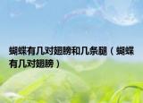 蝴蝶有几对翅膀和几条腿（蝴蝶有几对翅膀）