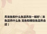 养龙鱼和什么鱼混养在一起好（龙鱼混养什么鱼 龙鱼和哪些鱼混养合适）
