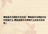 秦始皇兵马俑的文化价值（秦始皇兵马俑的文化价值是什么 秦始皇陵兵马俑有什么历史文化价值）