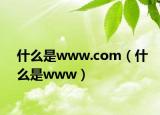 什么是www.com（什么是www）