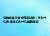 马和啥属相最好带来财运（马和什么合 属马的和什么属相最配）
