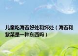 儿童吃海苔好处和坏处（海苔和紫菜是一种东西吗）