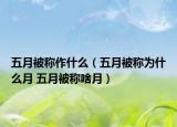 五月被称作什么（五月被称为什么月 五月被称啥月）