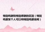 特别鸣谢和特别感谢的区别（特别鸣谢某个人可以吗特别鸣谢说明）