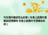 汽车落叶痕迹怎么处理（车身上的落叶需要及时清理吗 车身上的落叶不清理会怎样）