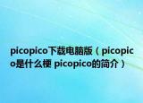 picopico下载电脑版（picopico是什么梗 picopico的简介）