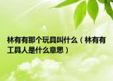 林有有那个玩具叫什么（林有有工具人是什么意思）