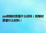 pp树脂材质是什么材料（树脂材质是什么材料）