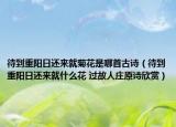 待到重阳日还来就菊花是哪首古诗（待到重阳日还来就什么花 过故人庄原诗欣赏）
