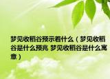梦见收稻谷预示着什么（梦见收稻谷是什么预兆 梦见收稻谷是什么寓意）