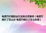 龟背竹烂根防治方法和注意事项（龟背竹根烂了怎么办 龟背竹根烂了怎么处理）