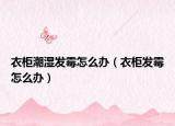 衣柜潮湿发霉怎么办（衣柜发霉怎么办）