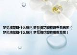 梦见摘花瓣什么预兆 梦见摘花瓣有哪些意思呢（梦见摘花瓣什么预兆 梦见摘花瓣有哪些意思）
