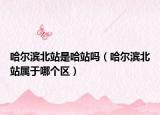 哈尔滨北站是哈站吗（哈尔滨北站属于哪个区）