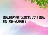 签证照片有什么要求几寸（签证照片有什么要求）