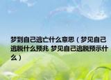 梦到自己逃亡什么意思（梦见自己逃脱什么预兆 梦见自己逃脱预示什么）
