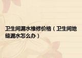 卫生间漏水维修价格（卫生间地缝漏水怎么办）