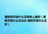 重阳佳节送什么花给老人最好（重阳节送什么花合适 重阳节送什么花好）