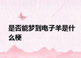 是否能梦到电子羊是什么梗