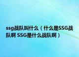 ssg战队叫什么（什么是SSG战队啊 SSG是什么战队啊）