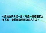六角龙鱼多少钱一条（龙鱼一侧掉眼怎么治 龙鱼一侧掉眼的原因及解决方法）