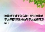 神仙叶干叶子怎么做（野生神仙叶怎么保存 野生神仙叶怎么的保存方法）