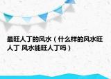 最旺人丁的风水（什么样的风水旺人丁 风水能旺人丁吗）