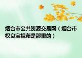 烟台市公共资源交易网（烟台市权良宝祖藉是那里的）
