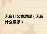 无良什么意思呢（无良什么意思）