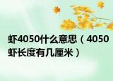 虾4050什么意思（4050虾长度有几厘米）