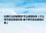 杜鹃什么时候修剪?怎么修剪秋季（什么季节适合修剪杜鹃 哪个季节适合修剪杜鹃）