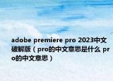 adobe premiere pro 2023中文破解版（pro的中文意思是什么 pro的中文意思）