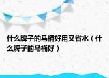 什么牌子的马桶好用又省水（什么牌子的马桶好）