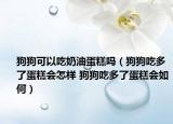 狗狗可以吃奶油蛋糕吗（狗狗吃多了蛋糕会怎样 狗狗吃多了蛋糕会如何）