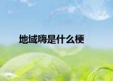 地域嗨是什么梗