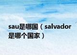 sau是哪国（salvador是哪个国家）