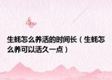 生蚝怎么养活的时间长（生蚝怎么养可以活久一点）
