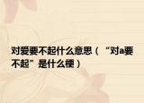 对爱要不起什么意思（“对a要不起”是什么梗）