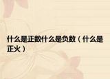 什么是正数什么是负数（什么是正火）