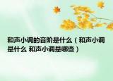 和声小调的音阶是什么（和声小调是什么 和声小调是哪些）