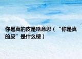 你是真的皮是啥意思（“你是真的皮”是什么梗）