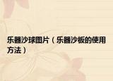 乐器沙球图片（乐器沙板的使用方法）