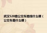 武汉520路公交车路线什么梗（公交车是什么梗）