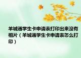 羊城通学生卡申请表打印出来没有相片（羊城通学生卡申请表怎么打印）