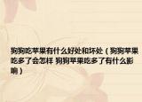 狗狗吃苹果有什么好处和坏处（狗狗苹果吃多了会怎样 狗狗苹果吃多了有什么影响）